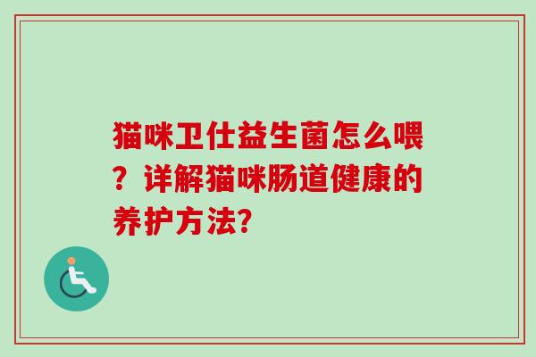 猫咪卫仕益生菌怎么喂?详解猫咪肠道健康的养护方法? 猫咪卫仕益生菌怎么喂?详解猫咪肠道健康的养护方法?