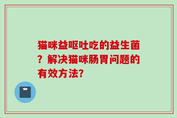 猫咪益吃的益生菌？解决猫咪肠胃问题的有效方法？
