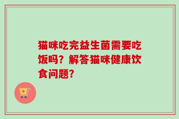 猫咪吃完益生菌需要吃饭吗？解答猫咪健康饮食问题？