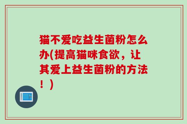 猫不爱吃益生菌粉怎么办(提高猫咪，让其爱上益生菌粉的方法！)