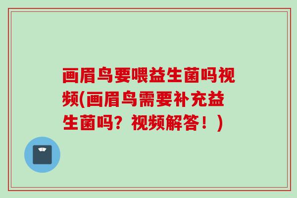 画眉鸟要喂益生菌吗视频(画眉鸟需要补充益生菌吗？视频解答！)