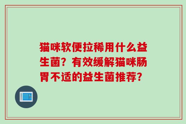 猫咪软便拉稀用什么益生菌？有效缓解猫咪肠胃不适的益生菌推荐？