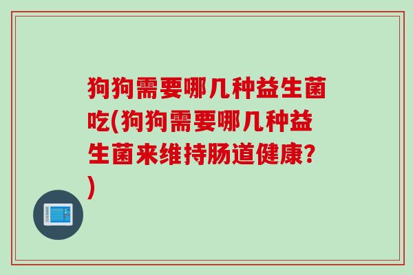 狗狗需要哪几种益生菌吃(狗狗需要哪几种益生菌来维持肠道健康？)