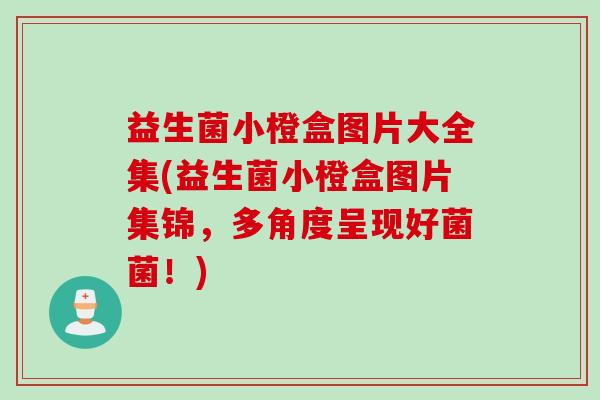 益生菌小橙盒图片大全集(益生菌小橙盒图片集锦，多角度呈现好菌菌！)