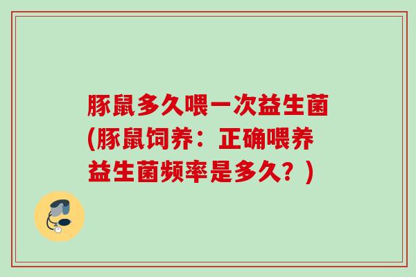 豚鼠多久喂一次益生菌(豚鼠饲养：正确喂养益生菌频率是多久？)