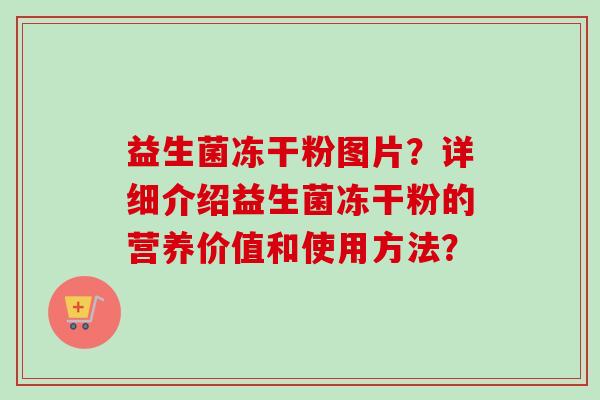 益生菌冻干粉图片？详细介绍益生菌冻干粉的营养价值和使用方法？