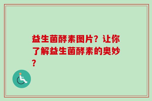 益生菌酵素图片？让你了解益生菌酵素的奥妙？