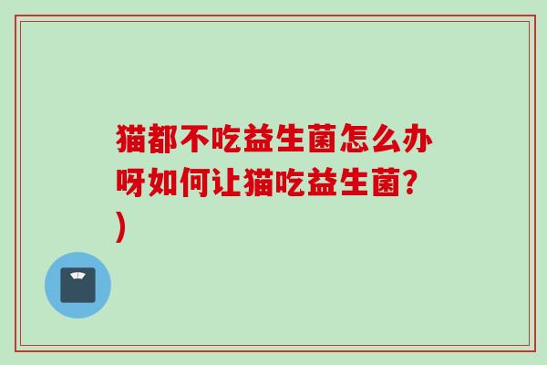 猫都不吃益生菌怎么办呀如何让猫吃益生菌?) 猫都不吃益生菌怎么办呀如何让猫吃益生菌?)
