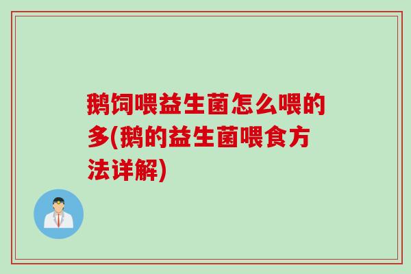 鹅饲喂益生菌怎么喂的多(鹅的益生菌喂食方法详解)