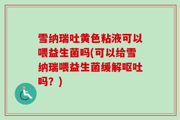 雪纳瑞吐黄色粘液可以喂益生菌吗(可以给雪纳瑞喂益生菌缓解吗？)