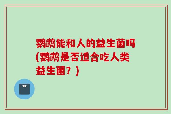 鹦鹉能和人的益生菌吗(鹦鹉是否适合吃人类益生菌？)
