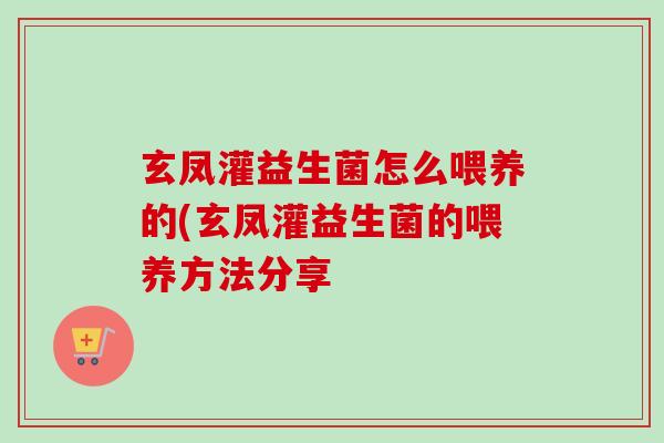 玄凤灌益生菌怎么喂养的(玄凤灌益生菌的喂养方法分享