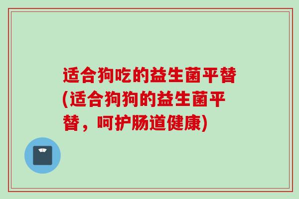 适合狗吃的益生菌平替(适合狗狗的益生菌平替，呵护肠道健康)