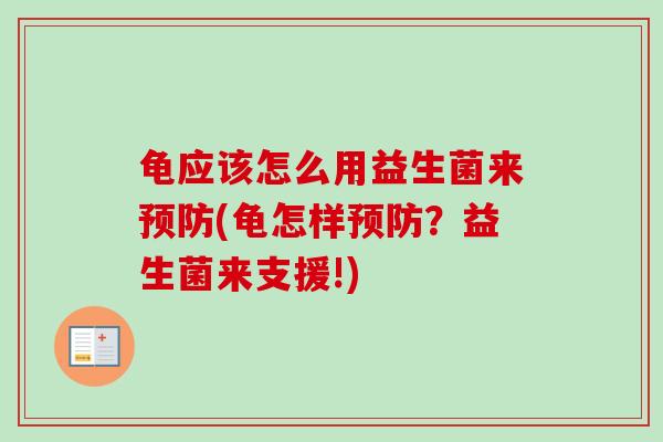 龟应该怎么用益生菌来预防(龟怎样预防？益生菌来支援!)