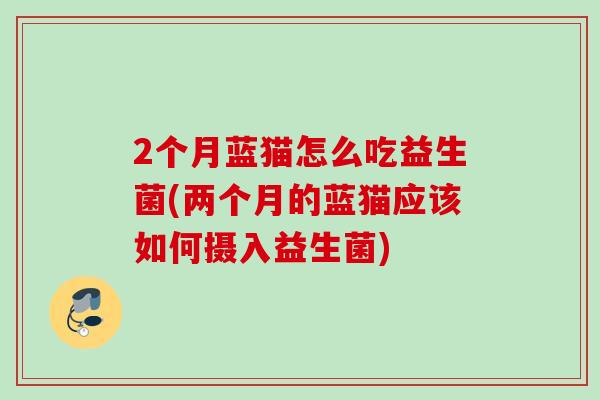2个月蓝猫怎么吃益生菌(两个月的蓝猫应该如何摄入益生菌)