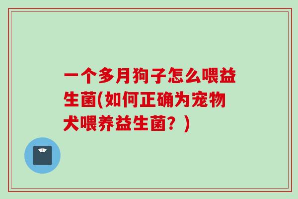 一个多月狗子怎么喂益生菌(如何正确为宠物犬喂养益生菌?) 一个多月狗子怎么喂益生菌(如何正确为宠物犬喂养益生菌?)