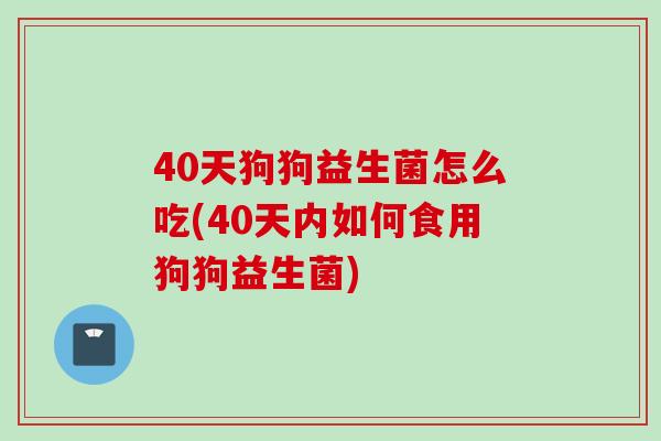 40天狗狗益生菌怎么吃(40天内如何食用狗狗益生菌)