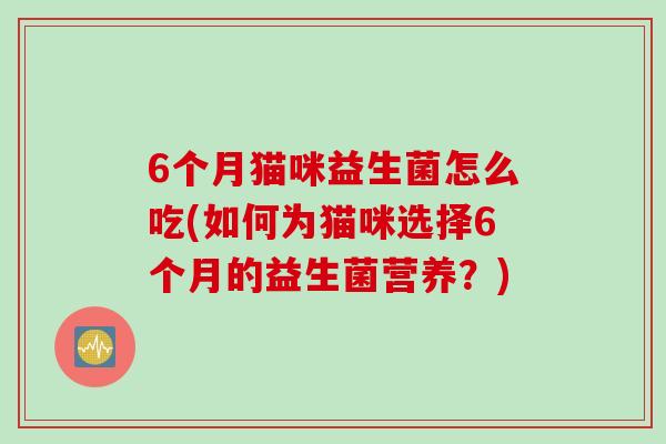 6个月猫咪益生菌怎么吃(如何为猫咪选择6个月的益生菌营养?) 6个月猫咪益生菌怎么吃(如何为猫咪选择6个月的益生菌营养?)
