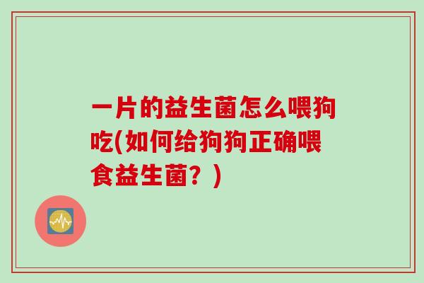 一片的益生菌怎么喂狗吃(如何给狗狗正确喂食益生菌？)