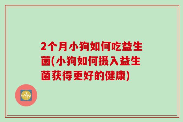 2个月小狗如何吃益生菌(小狗如何摄入益生菌获得更好的健康)