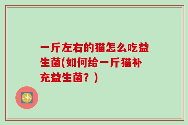 一斤左右的猫怎么吃益生菌(如何给一斤猫补充益生菌?) 一斤左右的猫怎么吃益生菌(如何给一斤猫补充益生菌?)