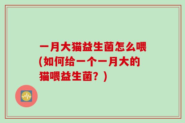 一月大猫益生菌怎么喂(如何给一个一月大的猫喂益生菌?) 一月大猫益生菌怎么喂(如何给一个一月大的猫喂益生菌?)