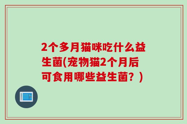 2个多月猫咪吃什么益生菌(宠物猫2个月后可食用哪些益生菌？)