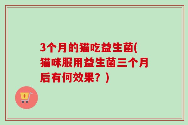 3个月的猫吃益生菌(猫咪服用益生菌三个月后有何效果？)