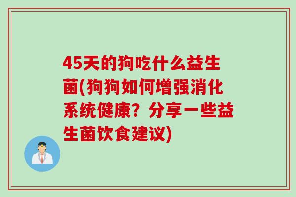 45天的狗吃什么益生菌(狗狗如何增强消化系统健康？分享一些益生菌饮食建议)