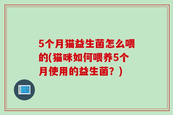 5个月猫益生菌怎么喂的(猫咪如何喂养5个月使用的益生菌？)