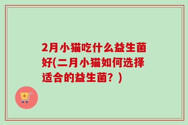 2月小猫吃什么益生菌好(二月小猫如何选择适合的益生菌?) 2月小猫吃什么益生菌好(二月小猫如何选择适合的益生菌?)