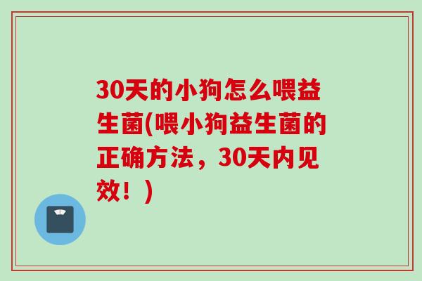 30天的小狗怎么喂益生菌(喂小狗益生菌的正确方法，30天内见效！)