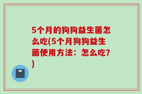 5个月的狗狗益生菌怎么吃(5个月狗狗益生菌使用方法：怎么吃？)
