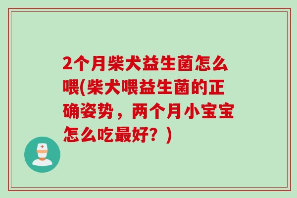 2个月柴犬益生菌怎么喂(柴犬喂益生菌的正确姿势,两个月小宝宝怎么吃好?) 2个月柴犬益生菌怎么喂(柴犬喂益生菌的正确姿势,两个月小宝宝怎么吃好?)