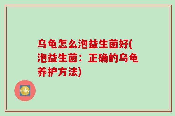 乌龟怎么泡益生菌好(泡益生菌：正确的乌龟养护方法)