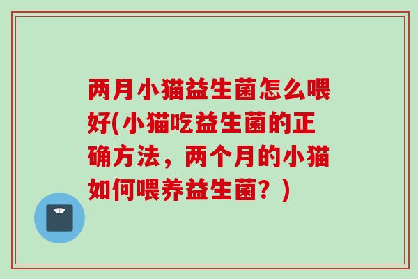 两月小猫益生菌怎么喂好(小猫吃益生菌的正确方法，两个月的小猫如何喂养益生菌？)