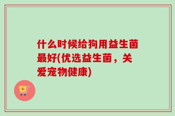 什么时候给狗用益生菌好(优选益生菌,关爱宠物健康) 什么时候给狗用益生菌好(优选益生菌,关爱宠物健康)