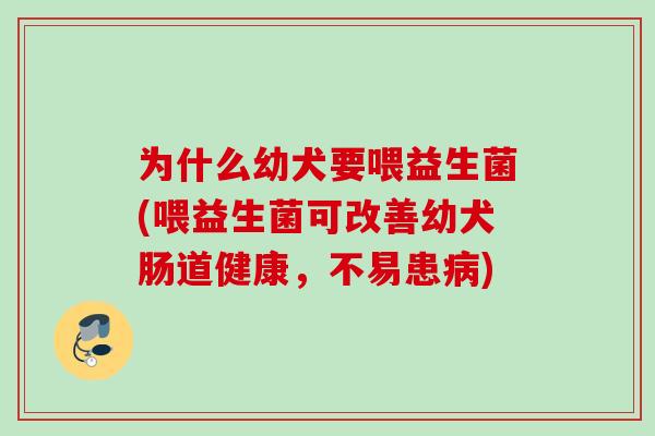 为什么幼犬要喂益生菌(喂益生菌可改善幼犬肠道健康，不易患病)