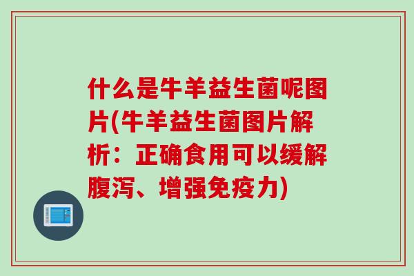 什么是牛羊益生菌呢图片(牛羊益生菌图片解析：正确食用可以缓解腹泻、增强免疫力)