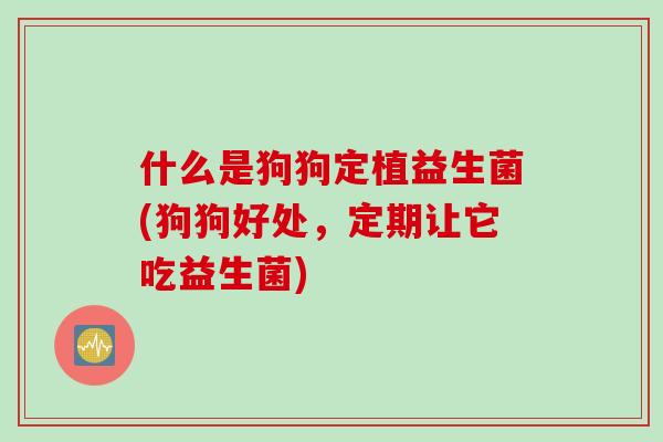 什么是狗狗定植益生菌(狗狗好处,定期让它吃益生菌) 什么是狗狗定植益生菌(狗狗好处,定期让它吃益生菌)