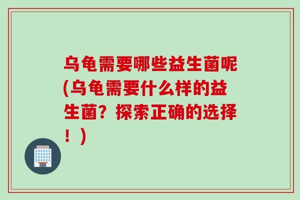 乌龟需要哪些益生菌呢(乌龟需要什么样的益生菌?探索正确的选择!) 乌龟需要哪些益生菌呢(乌龟需要什么样的益生菌?探索正确的选择!)