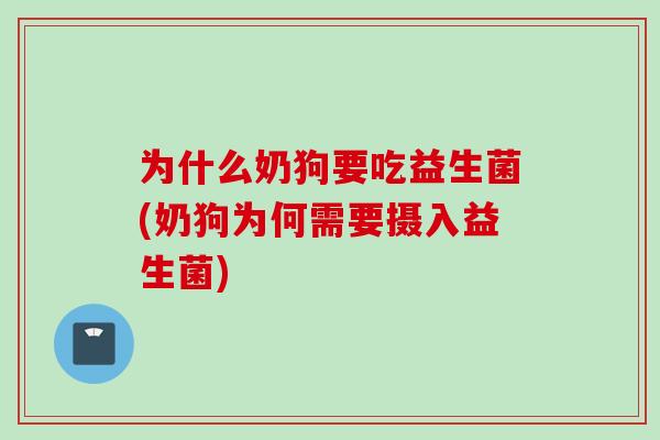 为什么奶狗要吃益生菌(奶狗为何需要摄入益生菌)