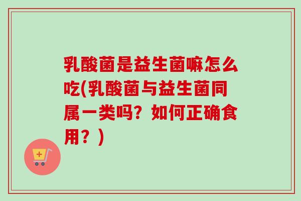 乳酸菌是益生菌嘛怎么吃(乳酸菌与益生菌同属一类吗？如何正确食用？)