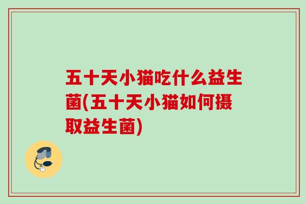 五十天小猫吃什么益生菌(五十天小猫如何摄取益生菌)