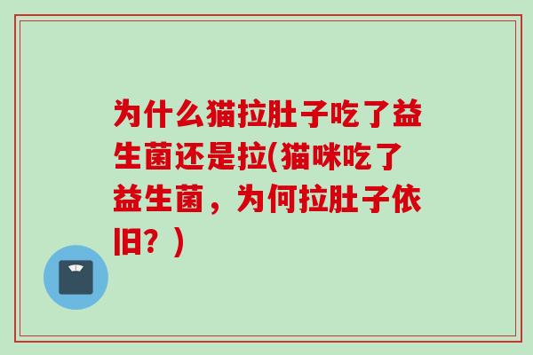 为什么猫拉肚子吃了益生菌还是拉(猫咪吃了益生菌,为何拉肚子依旧?) 为什么猫拉肚子吃了益生菌还是拉(猫咪吃了益生菌,为何拉肚子依旧?)