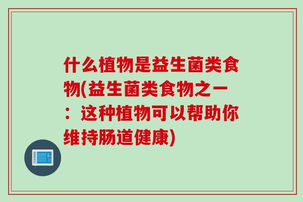 什么植物是益生菌类食物(益生菌类食物之一:这种植物可以帮助你维持肠道健康) 什么植物是益生菌类食物(益生菌类食物之一:这种植物可以帮助你维持肠道健康)