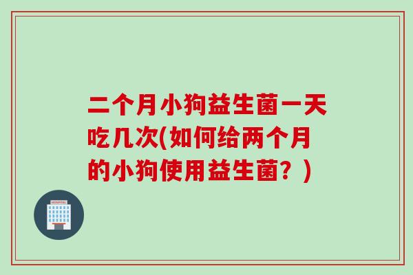 二个月小狗益生菌一天吃几次(如何给两个月的小狗使用益生菌？)