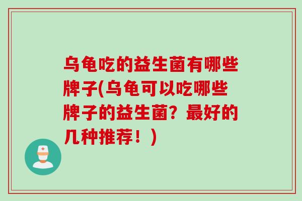 乌龟吃的益生菌有哪些牌子(乌龟可以吃哪些牌子的益生菌？最好的几种推荐！)