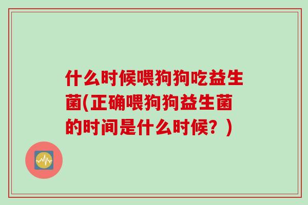什么时候喂狗狗吃益生菌(正确喂狗狗益生菌的时间是什么时候？)