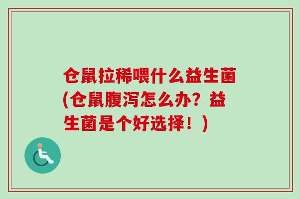 仓鼠拉稀喂什么益生菌(仓鼠怎么办?益生菌是个好选择!) 仓鼠拉稀喂什么益生菌(仓鼠怎么办?益生菌是个好选择!)